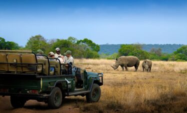 Cape Town e Safári em Phinda: Aventura Inesquecível na África do Sul