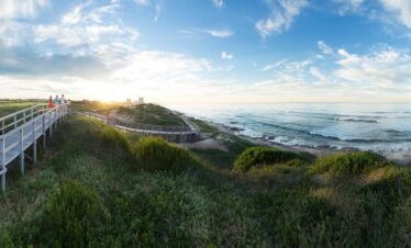Self-Drive com Safári, Rota Jardim e Cape Town: Descubra a África do Sul em 12 Dias